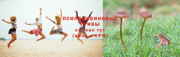 амф Белокуриха