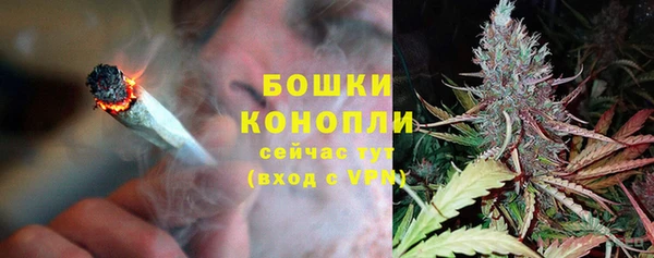 амф Белокуриха