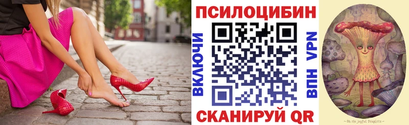 Галлюциногенные грибы GOLDEN TEACHER  KRAKEN tor  Полесск  наркошоп 